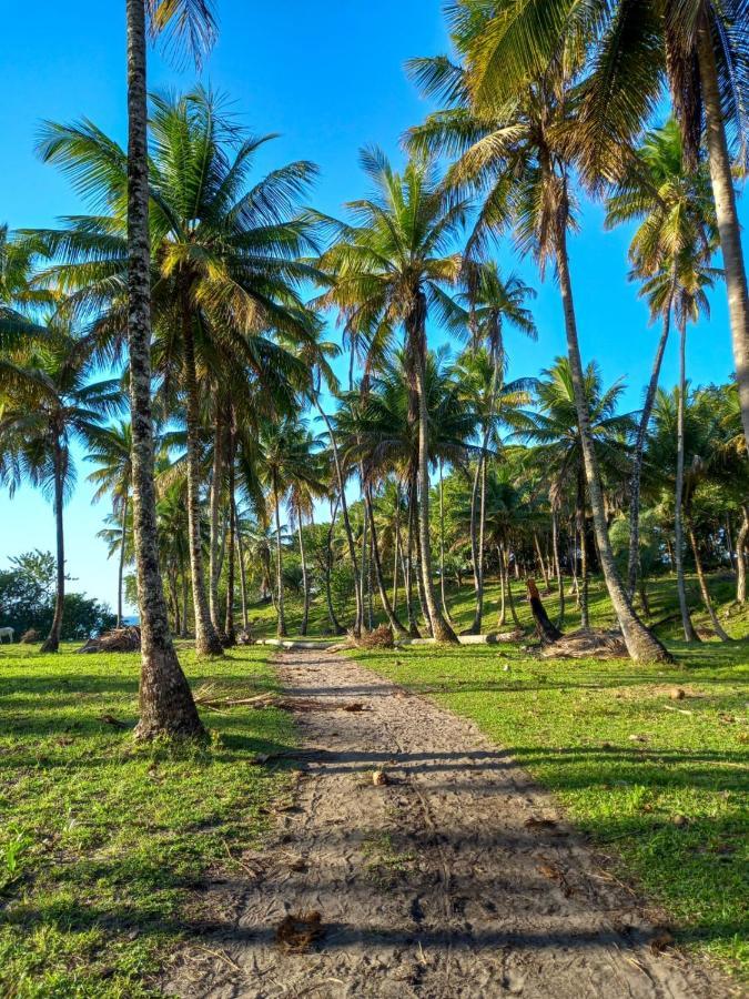 Pousada Beija Flor - Ilha Boipeba Velha Boipeba Exteriör bild